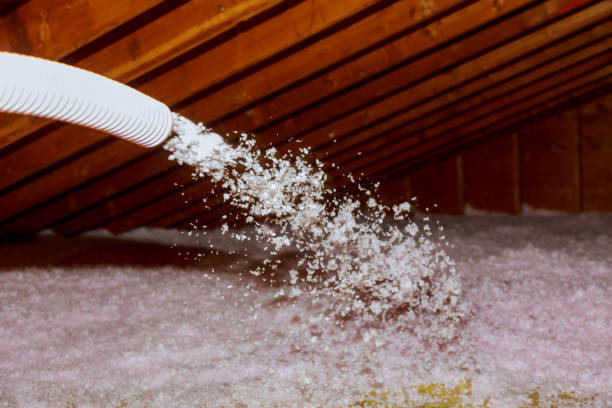 Best Basement Insulation  in Locust, NC