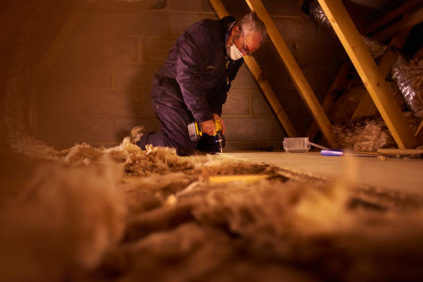 Best Eco-Friendly or Green Insulation Solutions  in Locust, NC