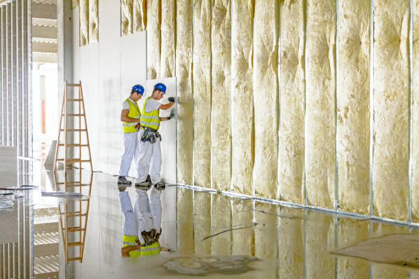 Best Insulation for Metal Buildings  in Locust, NC